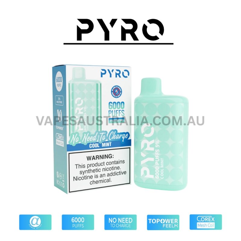 PYRO Vape 6000 Puffs 5% Cool Mint