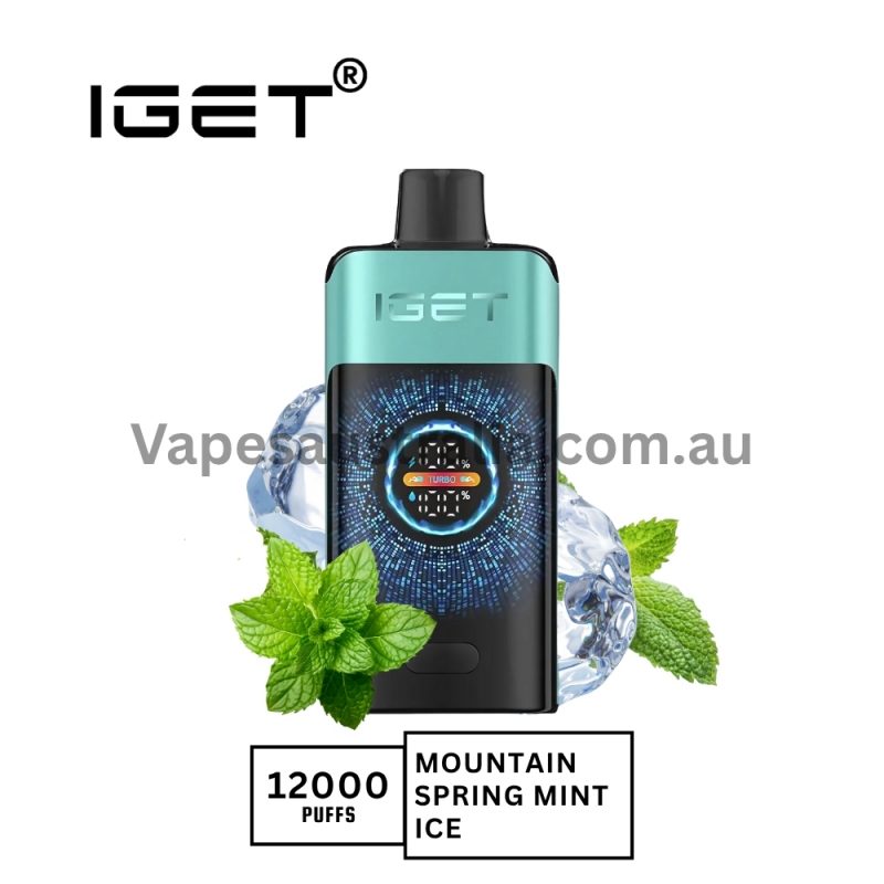 Iget One 12000 Puffs Mountainspring Mint Ice